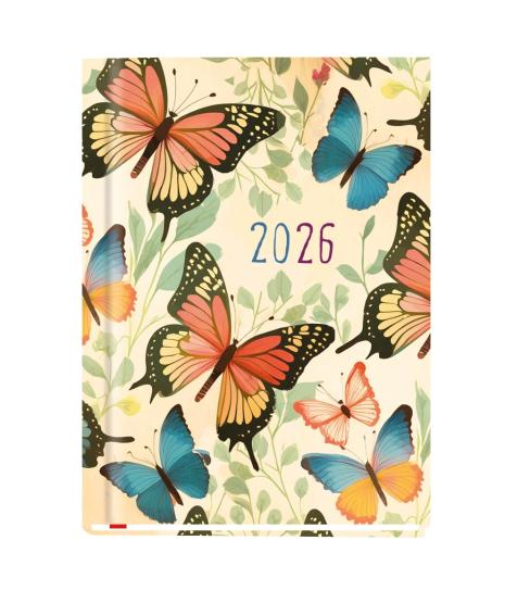 Michalczyk i Prokop kalendarz OLA T212F-08