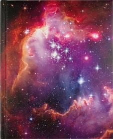 Notatnik duży Nebula PETER PAUPER
